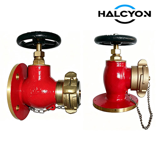 JIS Marine Fire Hydrant Valve